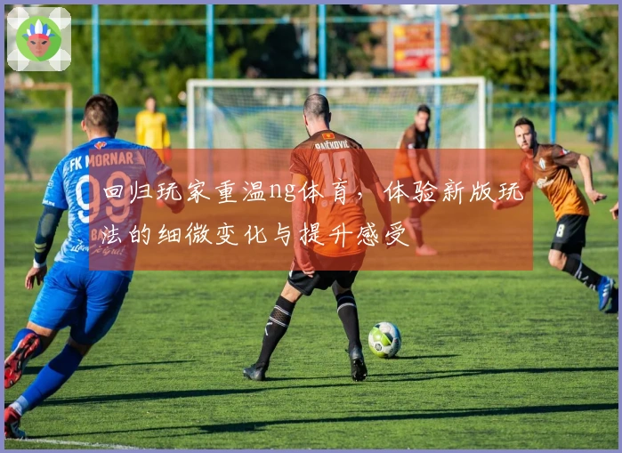 回归玩家重温ng体育，体验新版玩法的细微变化与提升感受