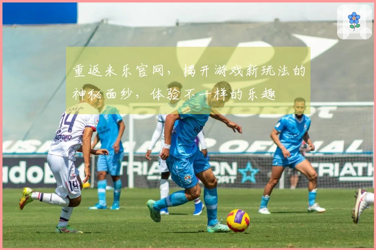 重返米乐官网，揭开游戏新玩法的神秘面纱，体验不一样的乐趣