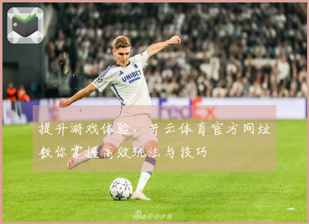 提升游戏体验，开云体育官方网址教你掌握高效玩法与技巧