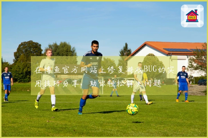 在博鱼官方网站上修复游戏BUG的实用技巧分享，助你轻松解决问题