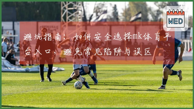 避坑指南：如何安全选择mk体育平台入口，避免常见陷阱与误区